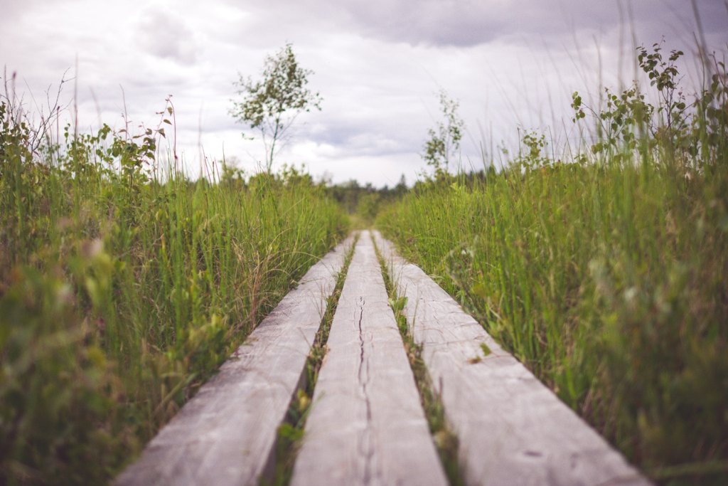 Straight Paths – Giving God the Glory